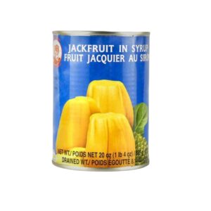JACKFRUIT IN SYRUP - JACA